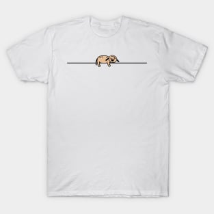 Sleeping dog T-Shirt